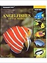 Two Little Fishies Book - Angelfishes of the World/Kiyoshi Endoh