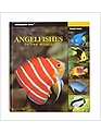 Two Little Fishies Book - Angelfishes of the World/Kiyoshi Endoh