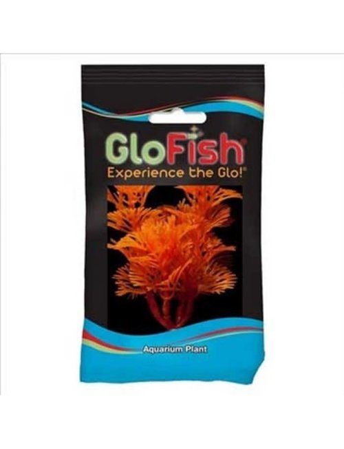 GloFish Sunburst Orange Cabomba Plant,3.5" H