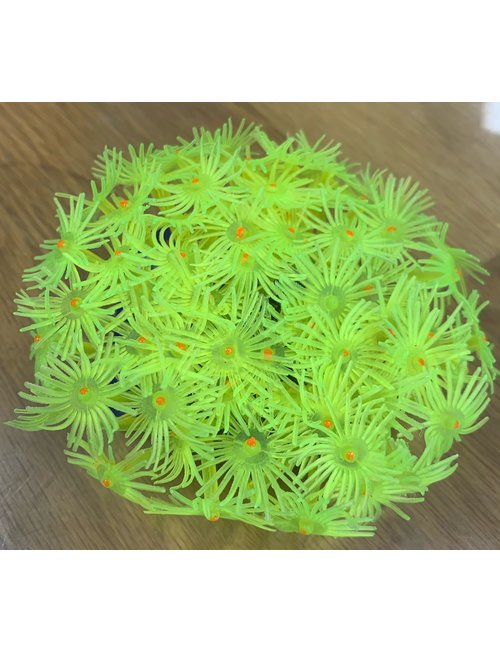 Living Color Replica Coral Décor - Aquaglobe