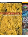 Two Little Fishies Book - Invertebrates A Quick Reference Guide/Julian Sprung