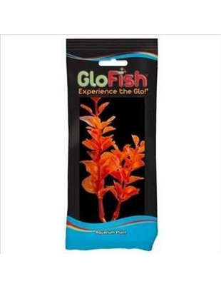 GloFish 4" Neon Orange Moneywort Plant