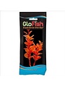GloFish 4" Neon Orange Moneywort Plant