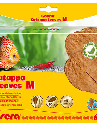 Catappa Leaves, (Med) (10pcs) - Sera