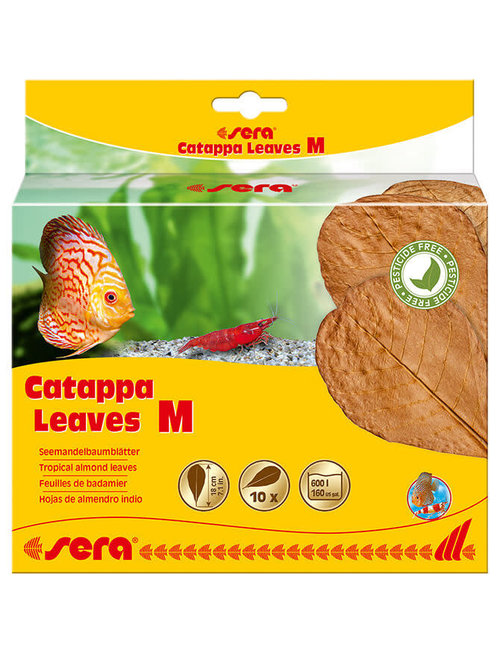 Catappa Leaves, (Med) (10pcs) - Sera