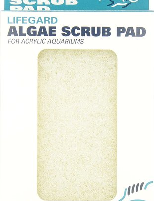 Lifegard Aquatics White Algae Pad for Acrylic Aquariums (Large, 4" x 6") - Lifegard Aquatics