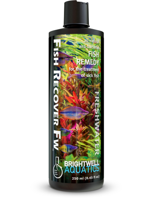 BrightWell Aquatics Fish Recover-FW (250ml) - Brightwell Aquatics
