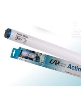 Actinic White VHO Bulb (72" 160W) - UVH2Ology