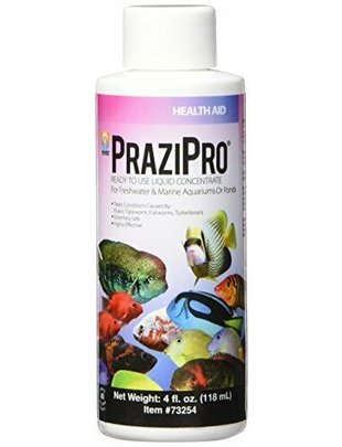 Hikari PraziPro Parasite Treatment  (4oz) - Hikari