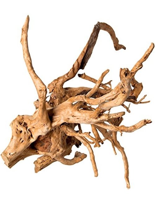 Tideline Spider Wood - Large (24" - 30") - Pisces