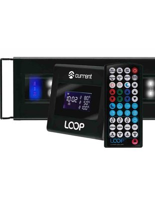 Current Orbit Marine IC LED Strip Light w/ Controller - Current