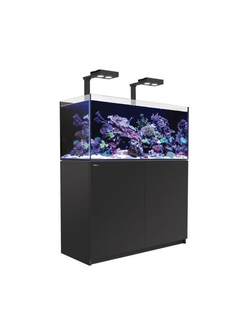 red sea reefer deluxe