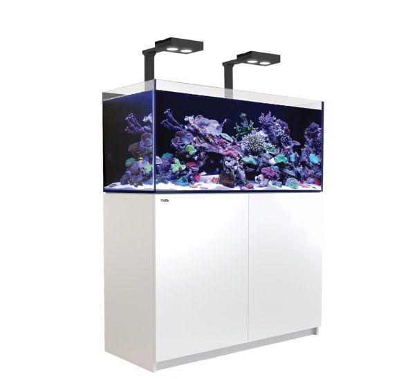 Red Sea Reefer Deluxe Xl 425 Led Aquarium System 112 Gallon White Glass Aquatics Glass Aquatics