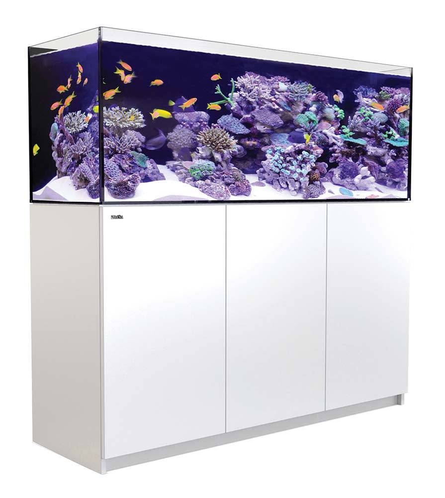 Red Sea Reefer Xl 525 Aquarium System 139 Gallon White Glass Aquatics Glass Aquatics