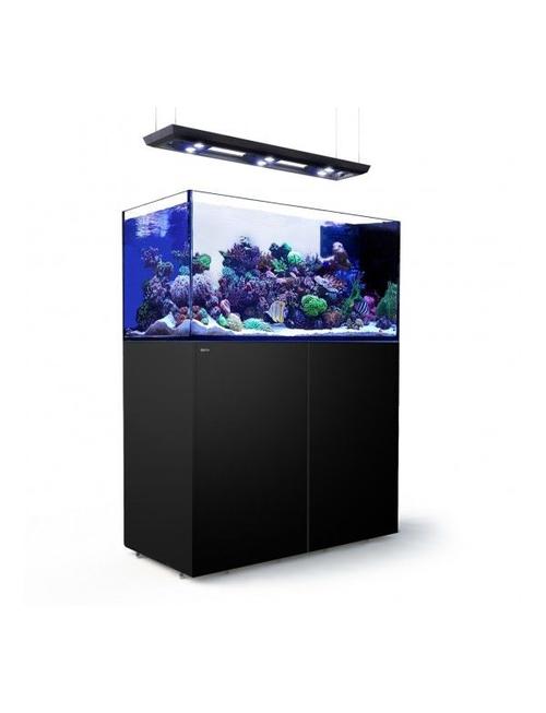 red sea reefer peninsula