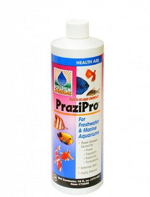 Hikari Hikari PraziPro Parasite Treatment (16oz)