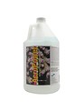 Two Little Fishies Acropower Amino Acid Formula for Corals - Two Little Fishies