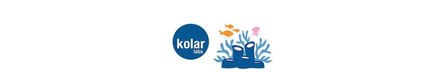 Kolar Labs