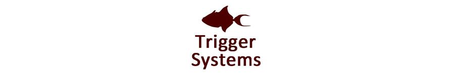 Trigger Systems