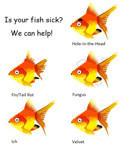Got Sick Fish?  Here are some cures for the common cold.