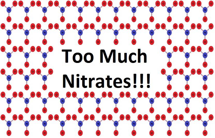 Blog - How to lower nitrates in a saltwater reef or fish-only aquarium! - Glass Aquatics