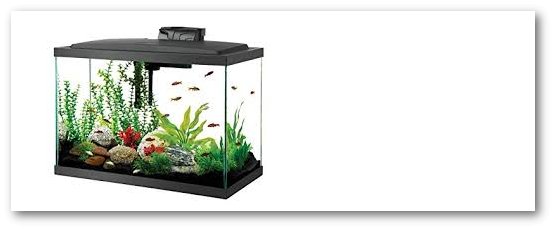 freshwater aquarium supplies