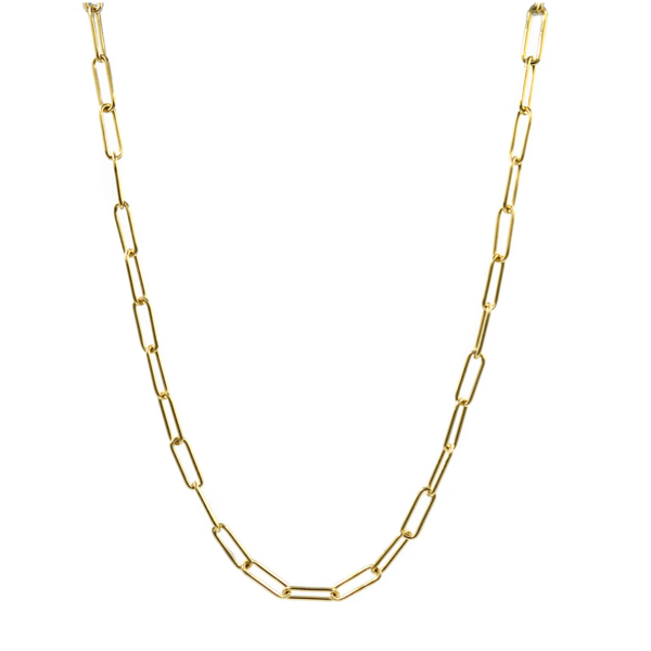 PARADIGM VIDA CHAIN NECKLACE