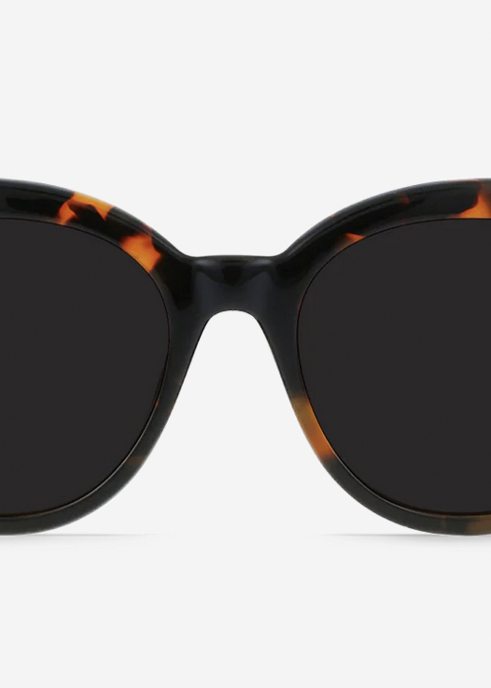 RAEN RAEN NIKOL SUNGLASSES
