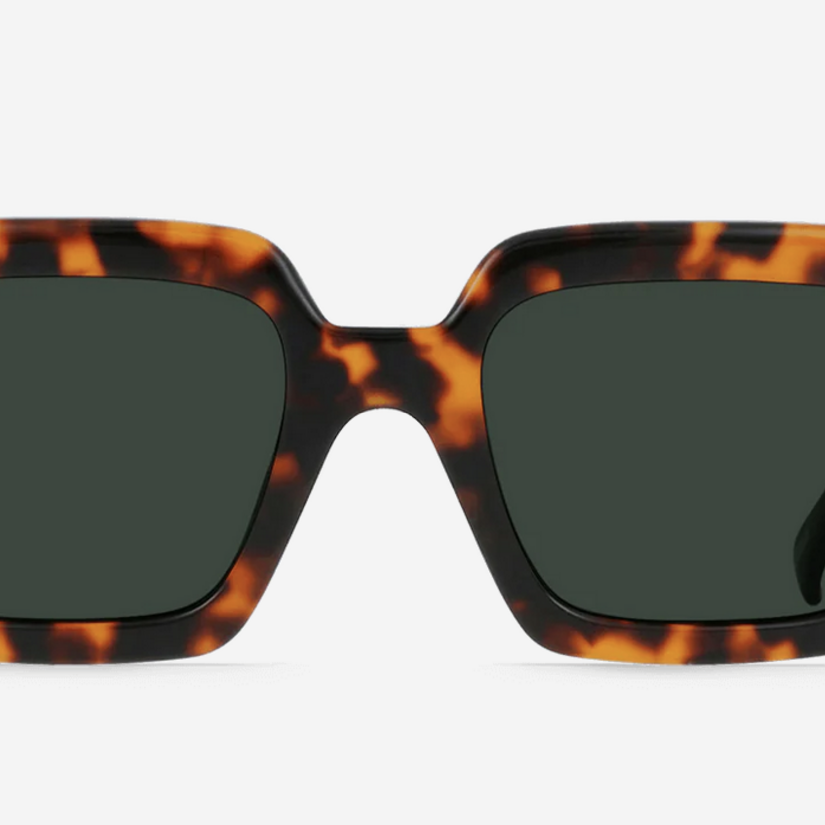 RAEN RAEN MYSTIQ POLARIZED SUNGLASSES