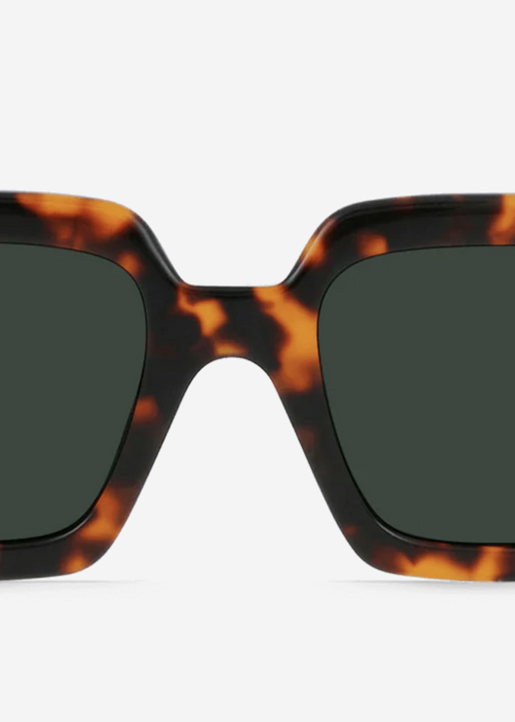 RAEN RAEN MYSTIQ POLARIZED SUNGLASSES
