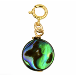 PARADIGM PARADIGM ABALONE BEAD CHARM
