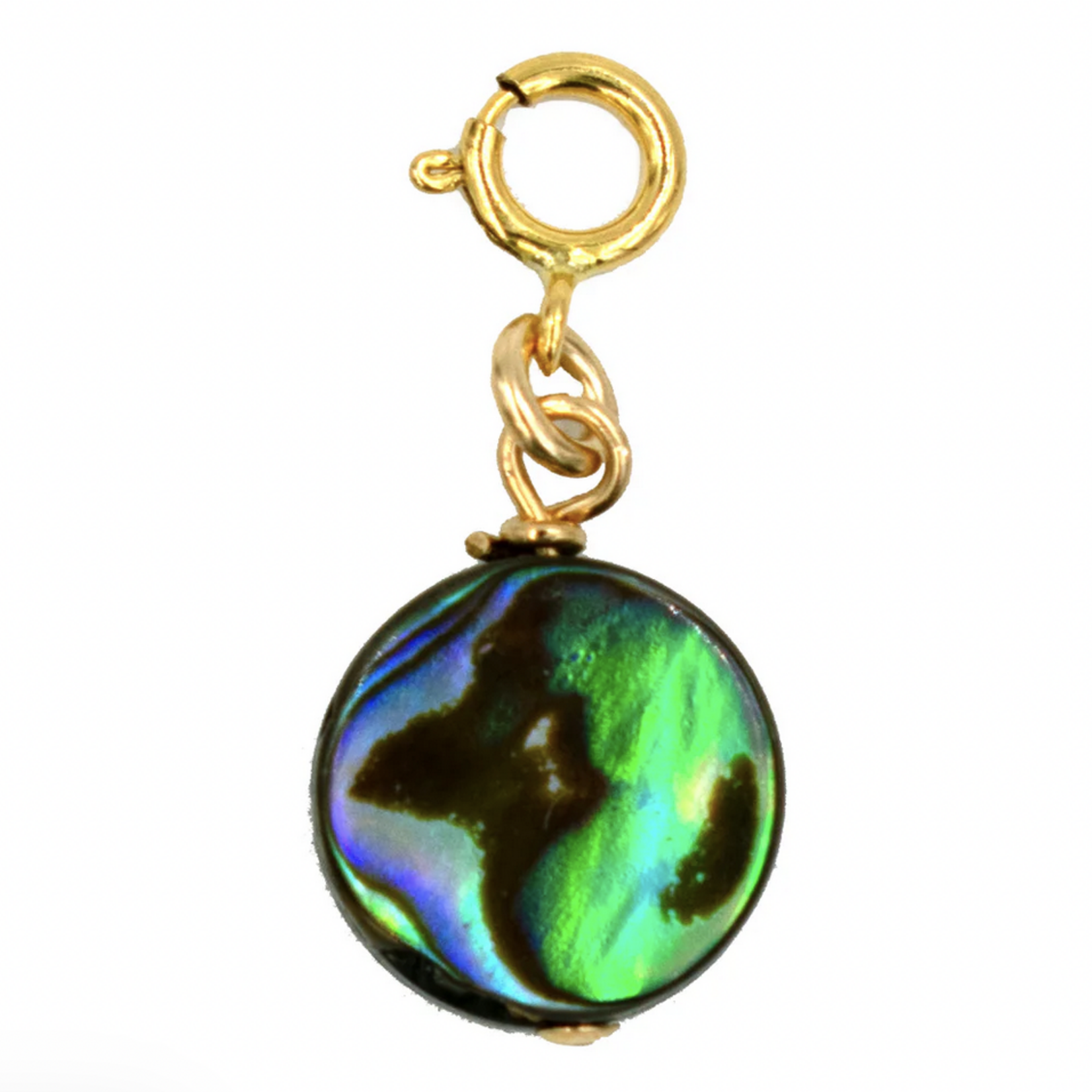 PARADIGM PARADIGM ABALONE BEAD CHARM