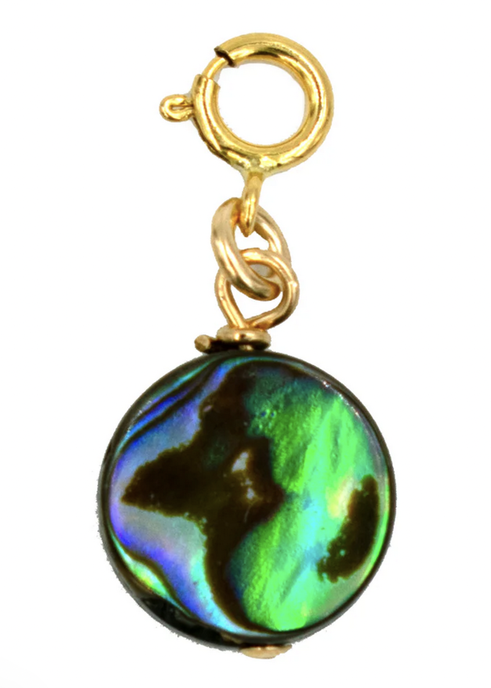 PARADIGM PARADIGM ABALONE BEAD CHARM