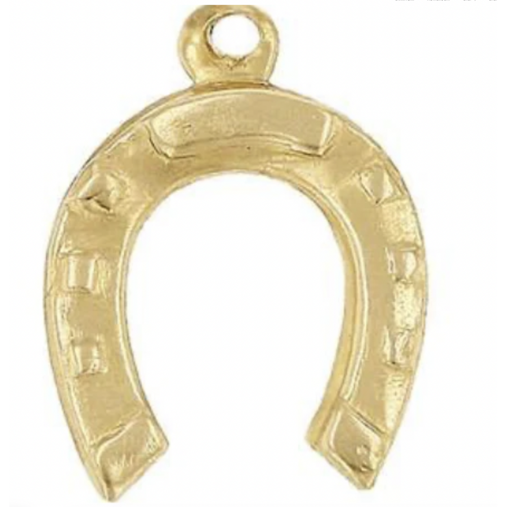 PARADIGM PARADIGM HORSESHOE CHARM