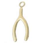 PARADIGM PARADIGM WISH BONE CHARM