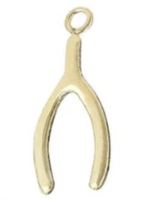 PARADIGM PARADIGM WISH BONE CHARM