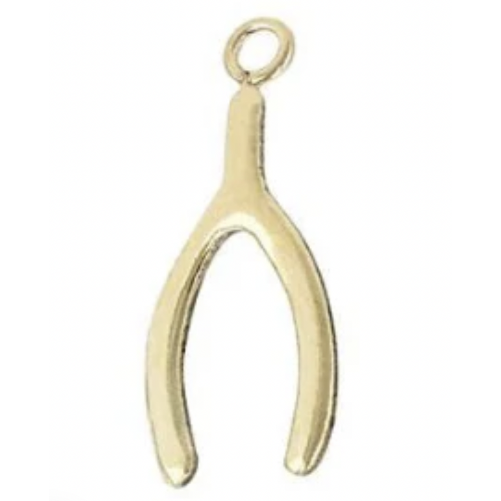 PARADIGM PARADIGM WISH BONE CHARM