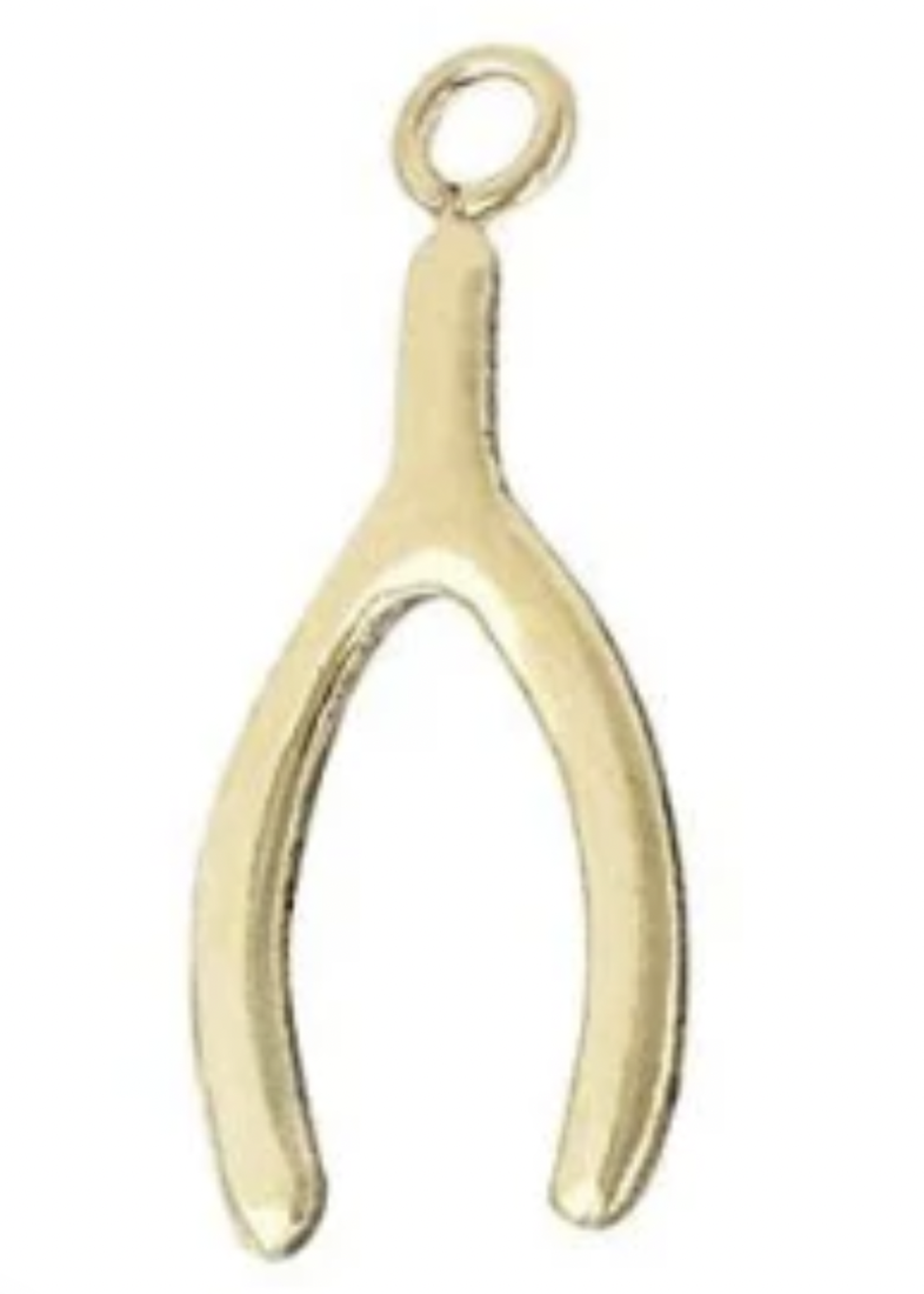 PARADIGM PARADIGM WISH BONE CHARM
