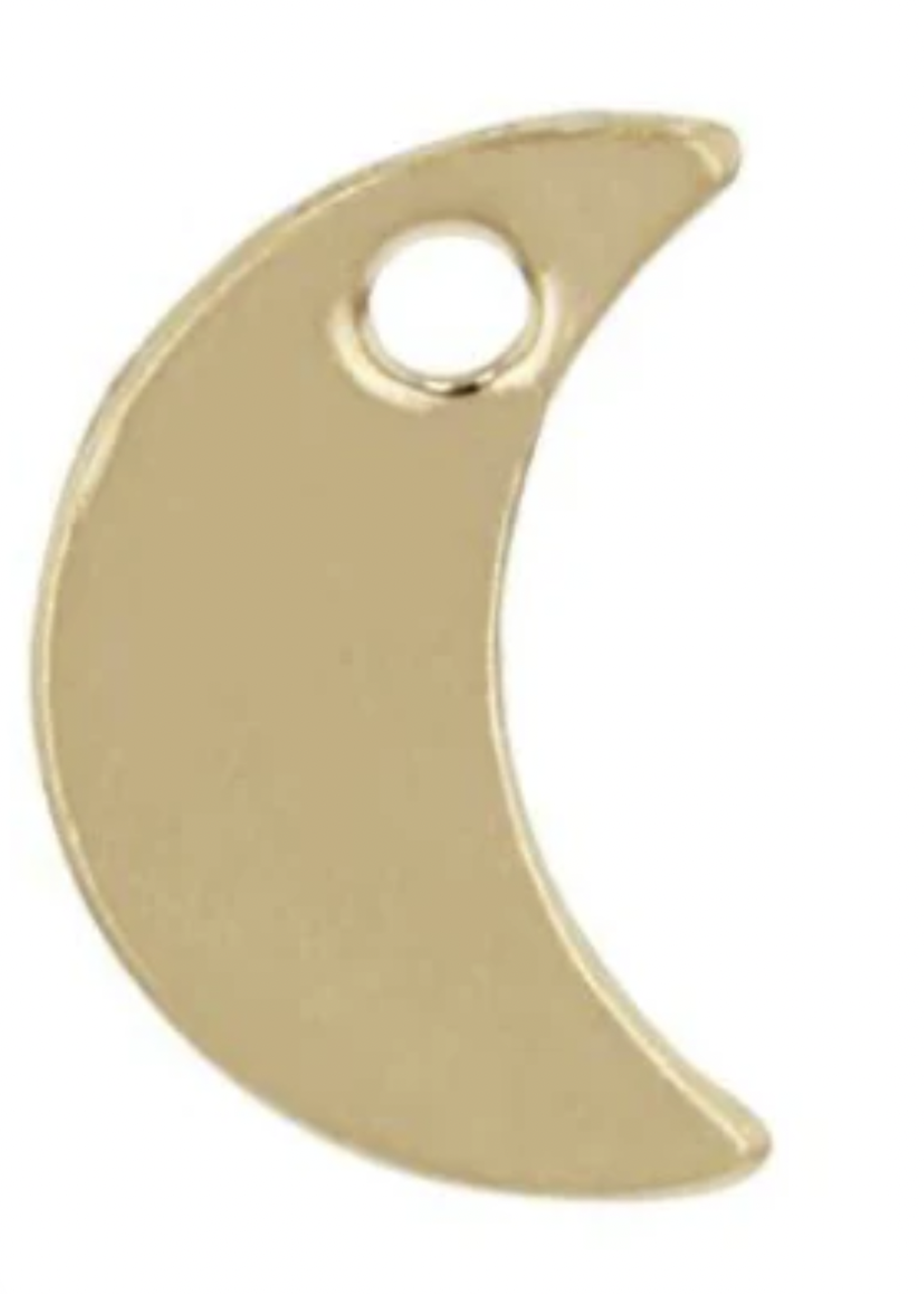 PARADIGM PARADIGM SMALL MOON CHARM