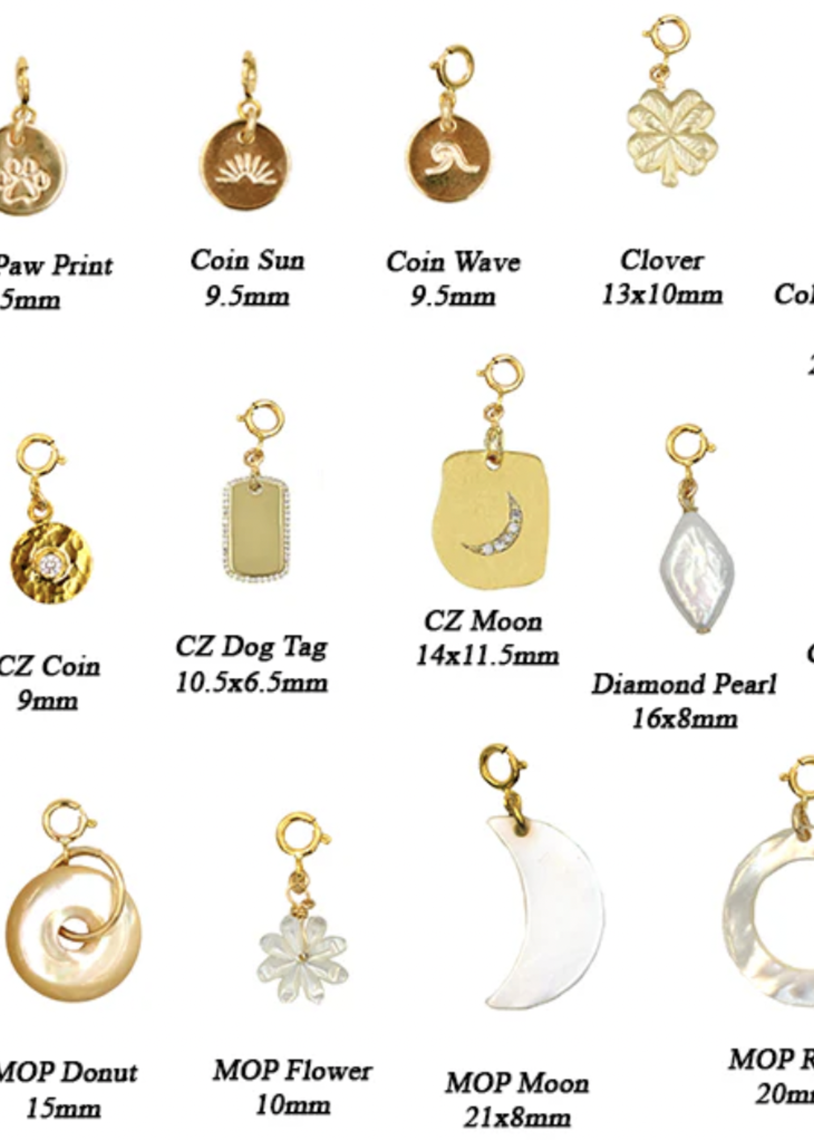 PARADIGM PARADIGM CZ COIN CHARM