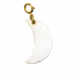 PARADIGM PARADIGM MOP MOON CHARM