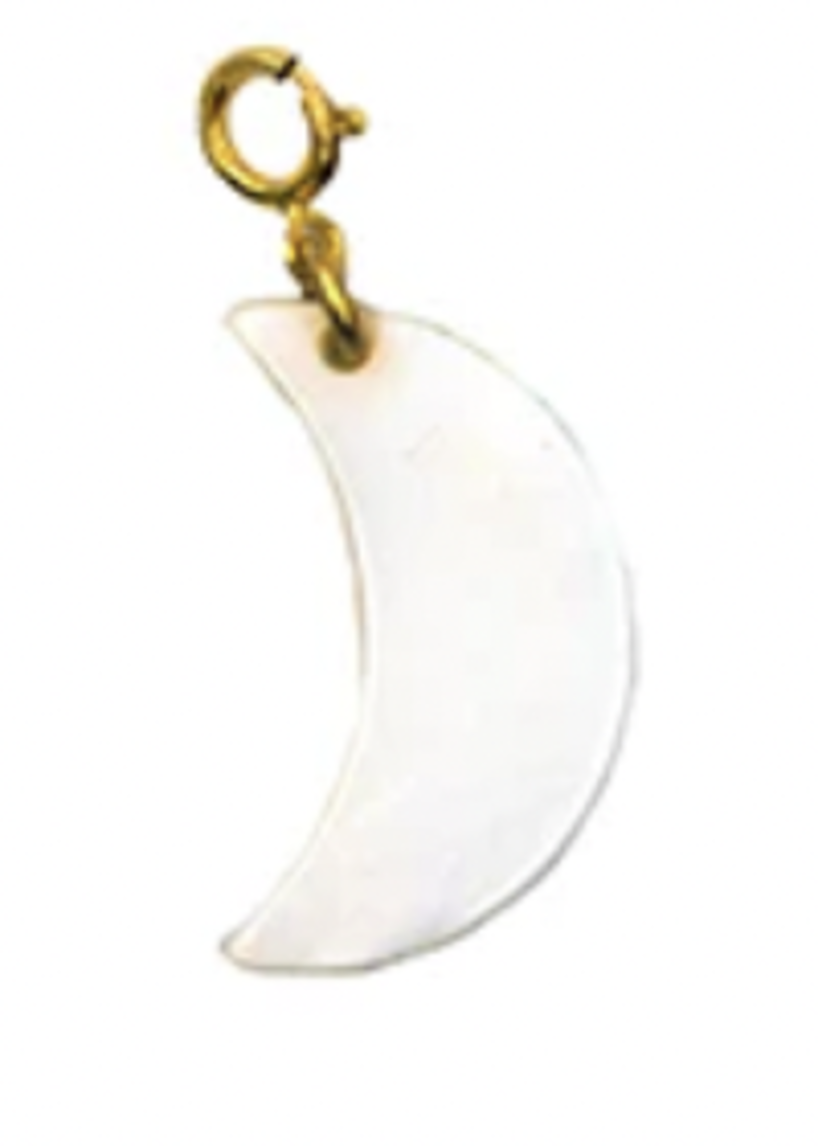 PARADIGM PARADIGM MOP MOON CHARM