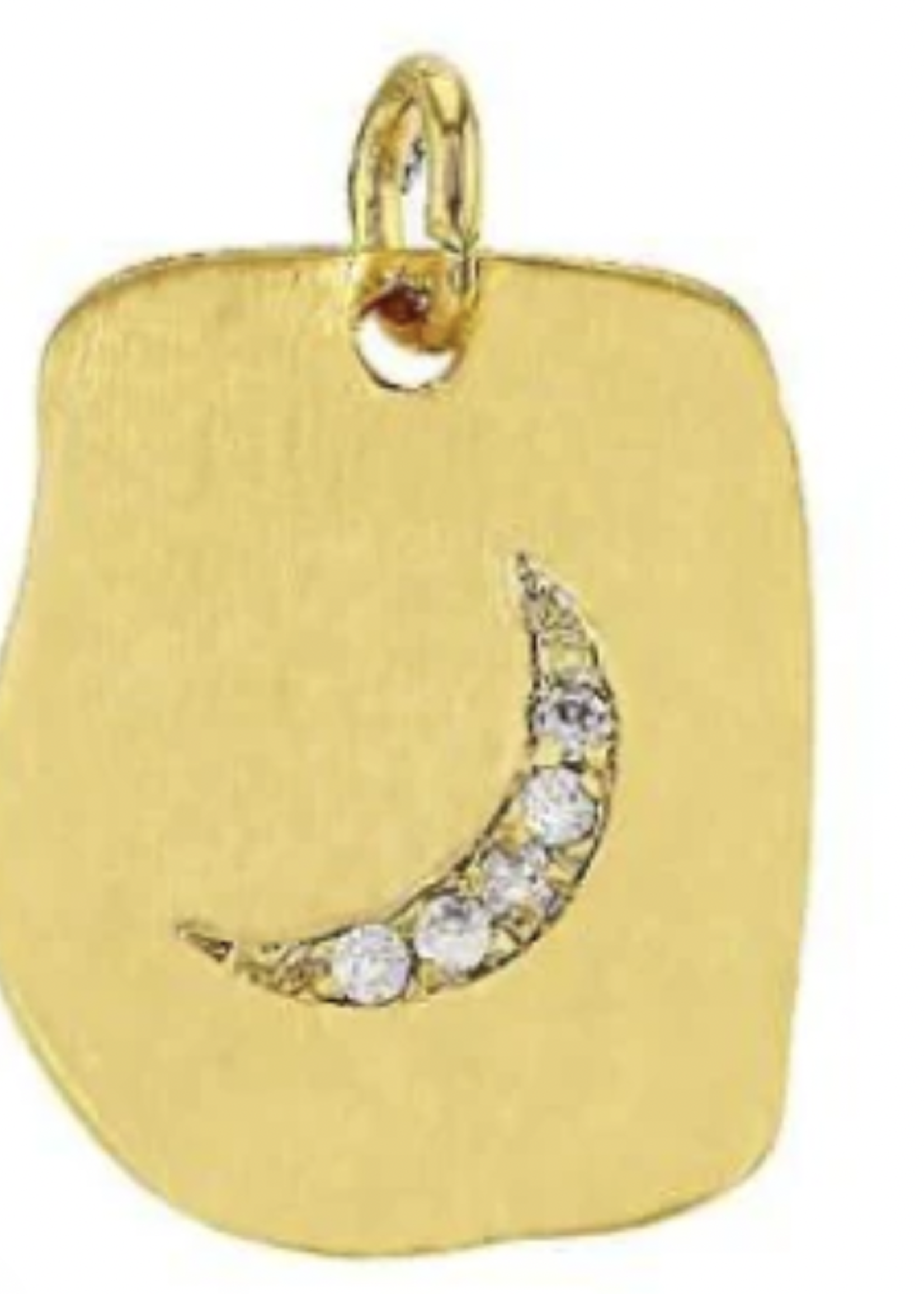 PARADIGM PARADIGM CZ MOON CHARM