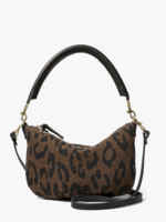 CLARE V. CLARE V. PETIT MOYEN MESSENGER