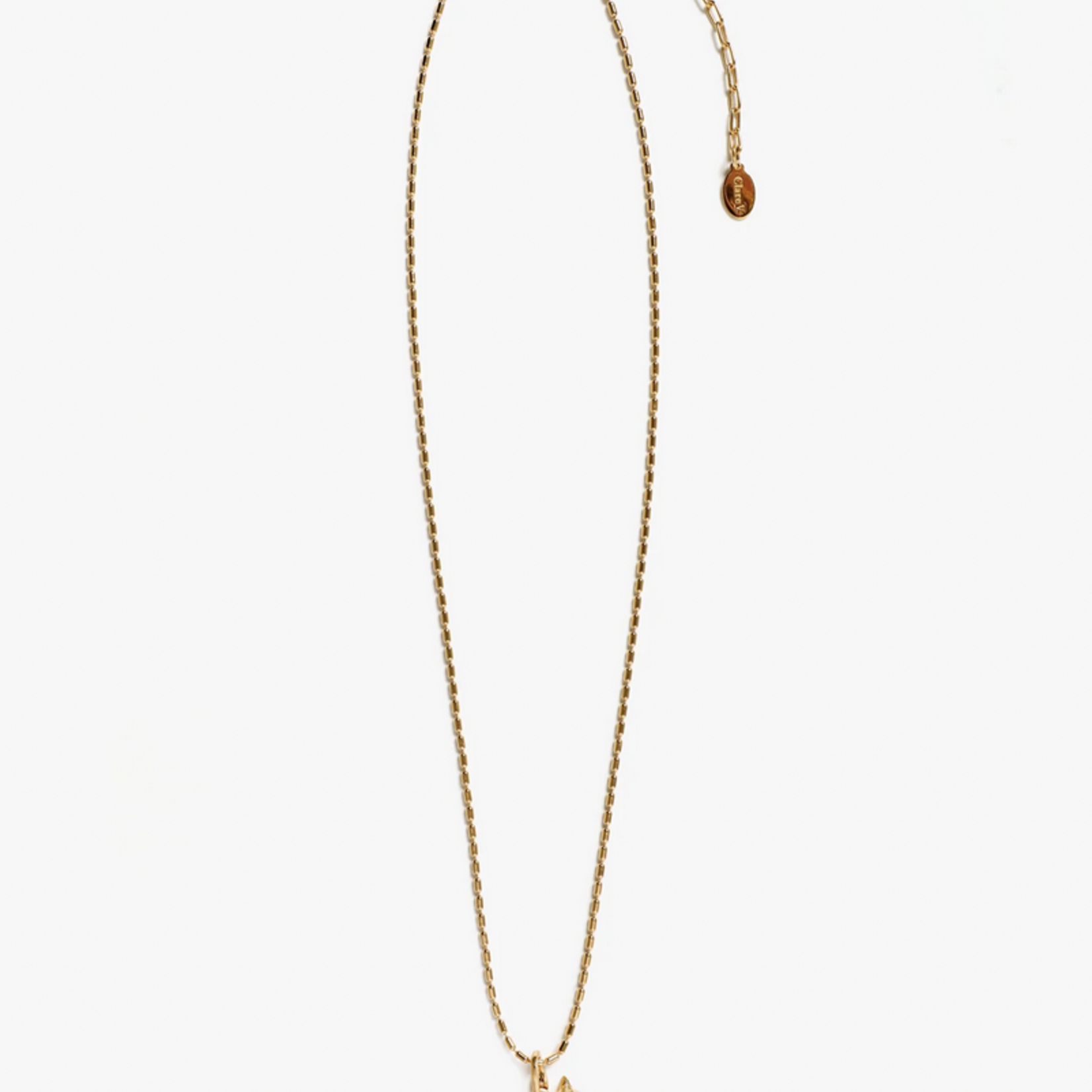 CLARE V. CLARE V. CHARM