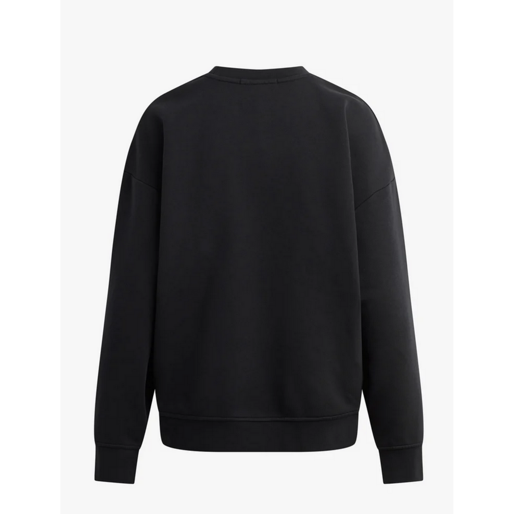 FAVORITE DAUGHTER FAVORITE DAUGHTER THE COLLEGIATE EMBROIDERY SWEATSHIRT