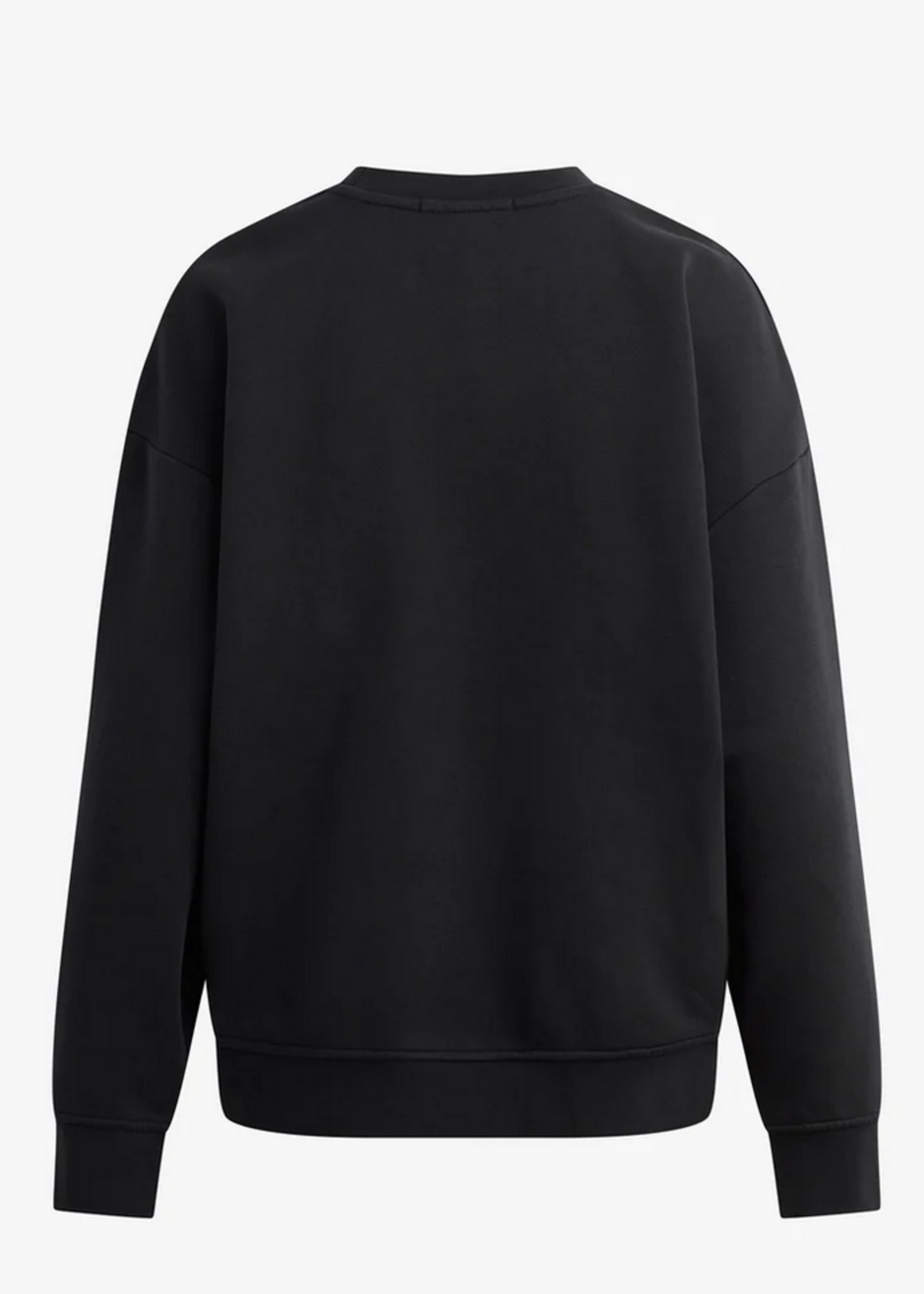 FAVORITE DAUGHTER FAVORITE DAUGHTER THE COLLEGIATE EMBROIDERY SWEATSHIRT