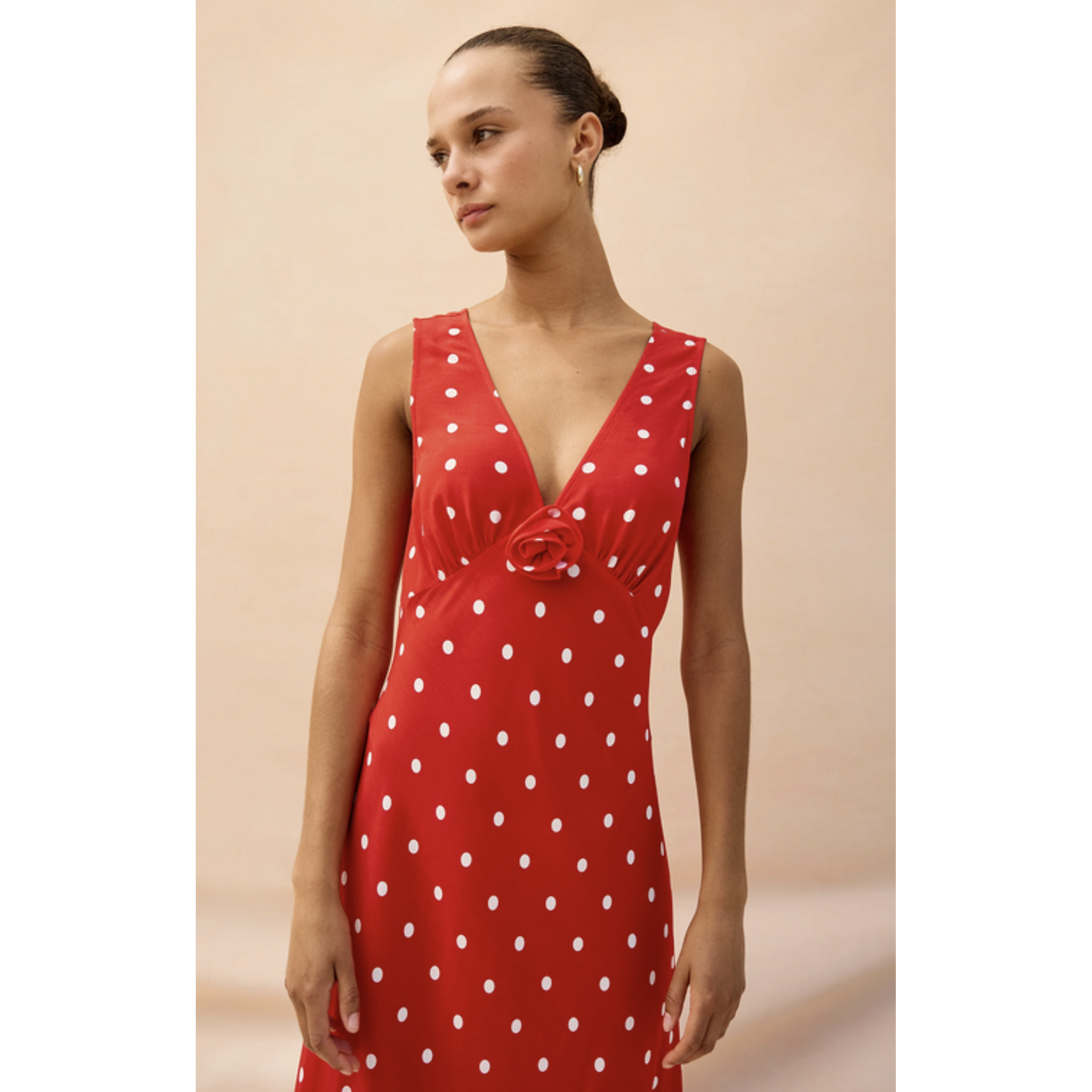RAILS RAILS TERENA DRESS