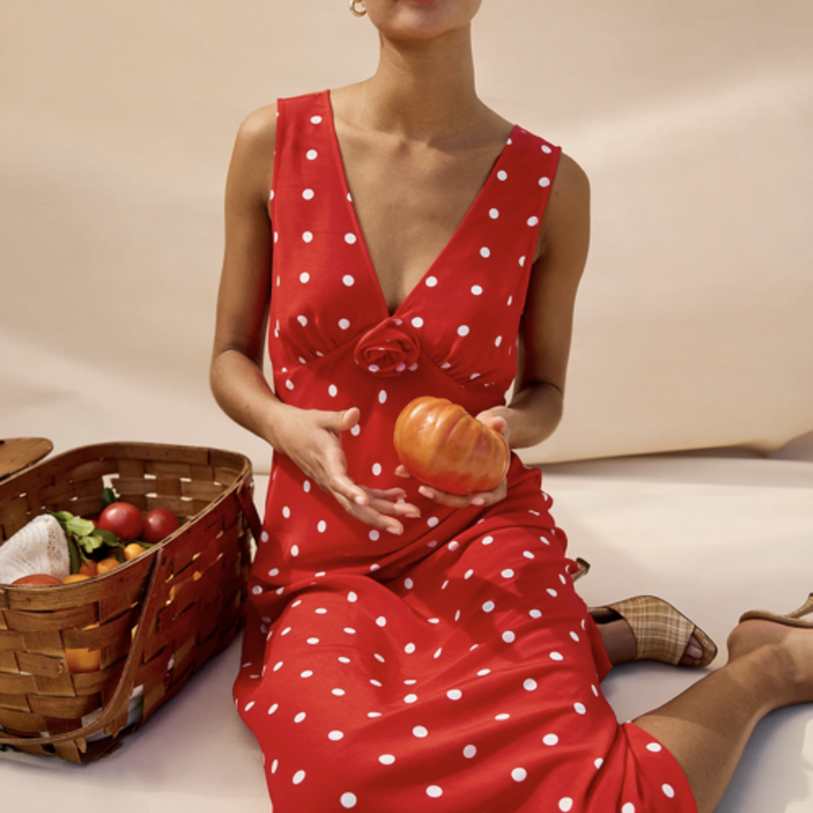 RAILS RAILS TERENA DRESS