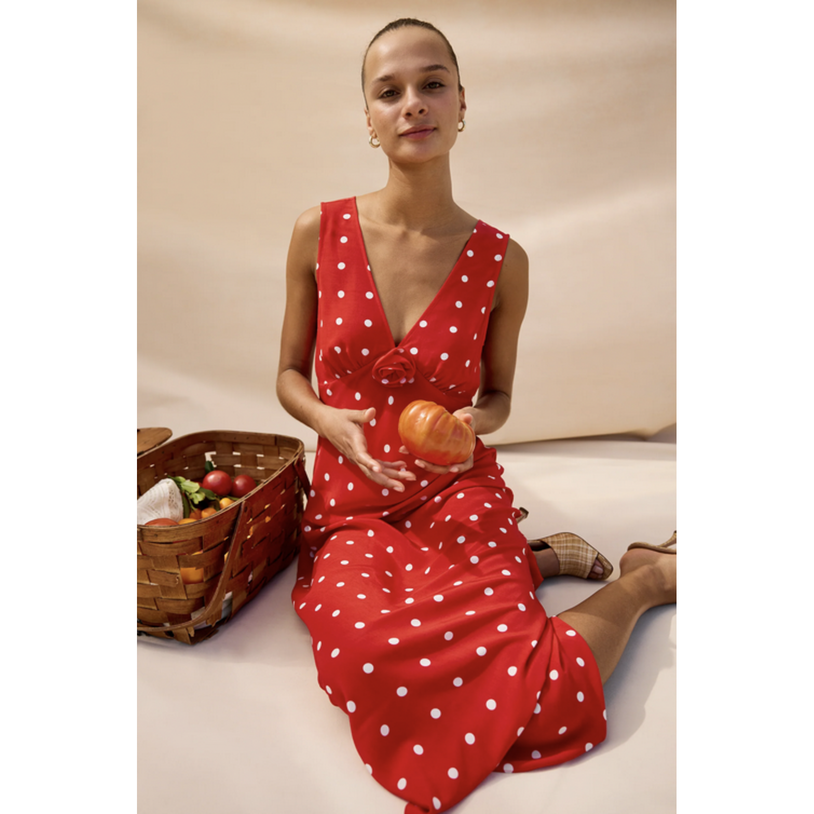 RAILS RAILS TERENA DRESS